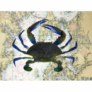 Blue Crab Pillow