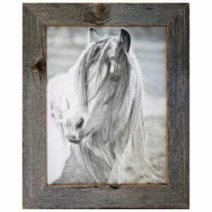 Horse Art